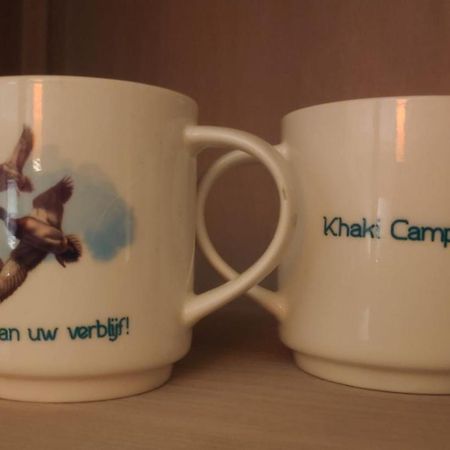 Khaki Campbell Villa Ermelo Esterno foto
