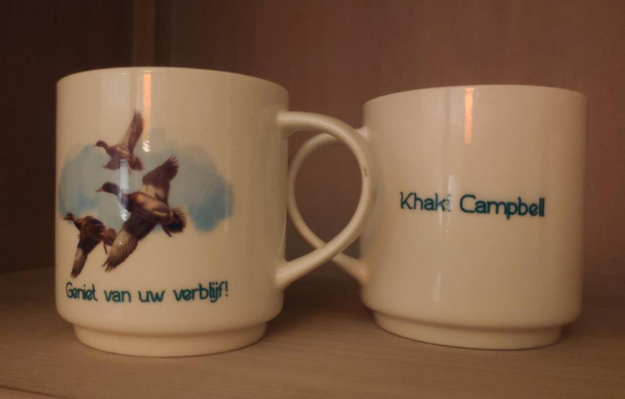 Khaki Campbell Villa Ermelo Esterno foto